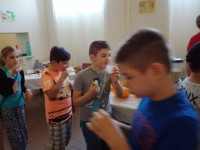 /album/a2-6-2017-ovocny-den/img-20170602-085219-jpg/